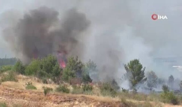 Ankara'da korkutan ot yangını! Alevler kısa sürede kontrol altına alındı