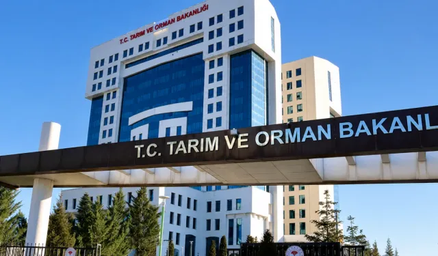 Resmi Gazete’de yayımlandı! Gıda ithalatında yetki değişikliği