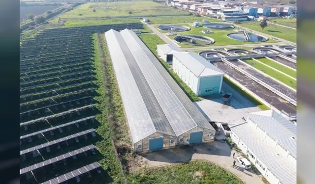 Atık çamurdan yeşil devrim: Arıtma tesisleri hem enerji hem toprak üretiyor