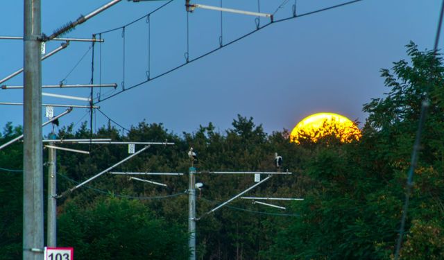 Leyleklerin göç yolunda alarm! TCDD’den Küçükçekmece’de yeni önlem