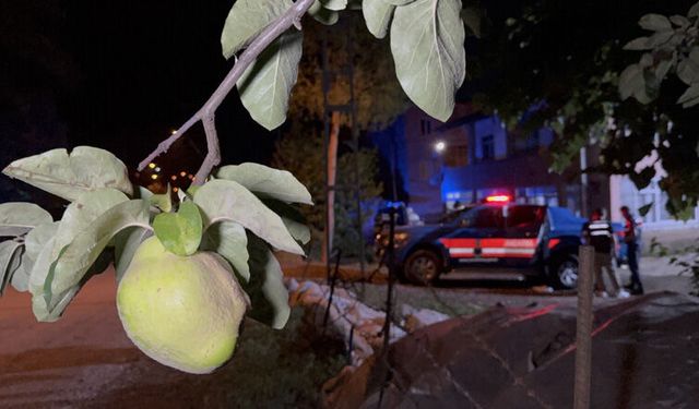 Tekkeköy'de kan donduran olay: Ayva dalı tartışması kanlı bitti
