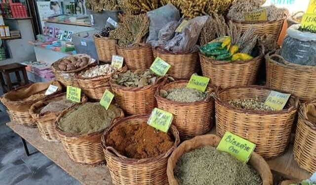 Yapay zekâdan bitkisel ürün tavsiyesi alırken dikkat! Her bitki herkese uygun değil