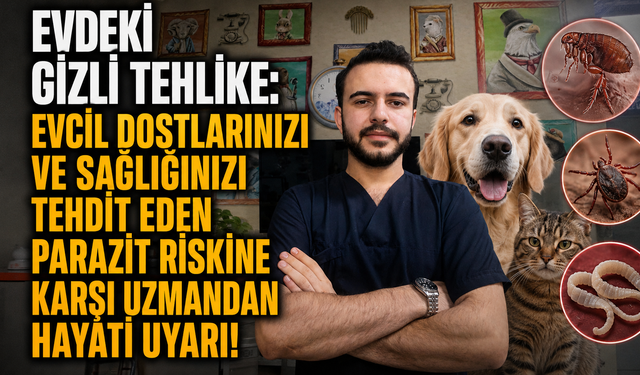 Evdeki gizli tehlike: Evcil dostlarınızı ve sağlığınızı tehdit eden parazit riskine karşı uzmanından hayati uyarı!