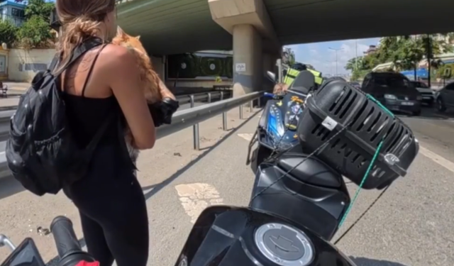 İstanbul’da motosiklette kedi paniği! Çantadan düşen kedisini almak için trafiğe koştu