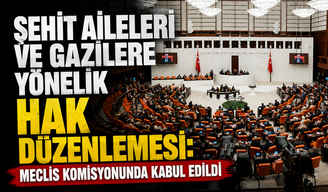 Şehit aileleri ve gazilere yönelik hak düzenlemesi: Meclis komisyonunda kabul edildi