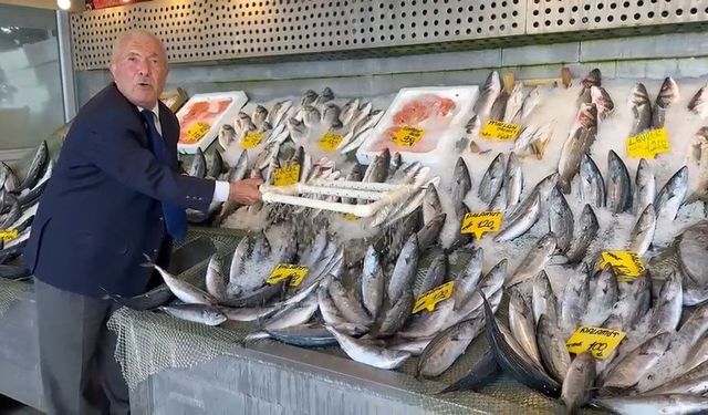 Balık tezgahlarında bolluk başladı, fiyatlar dikkat çekti