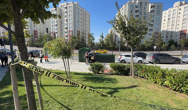 Komşu esnafların "su" kavgası parkta kanlı bitti!