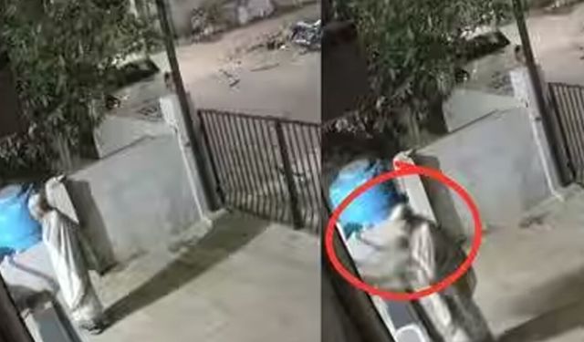 Maymunun saldırısına uğrayan yaşlı kadın hayatını kaybetti! O anlar kameraya yansıdı