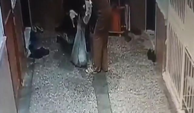 Kedileri çuvallara koyup götürdüler! Konya'daki kan donduran görüntü güvenlik kamerasında