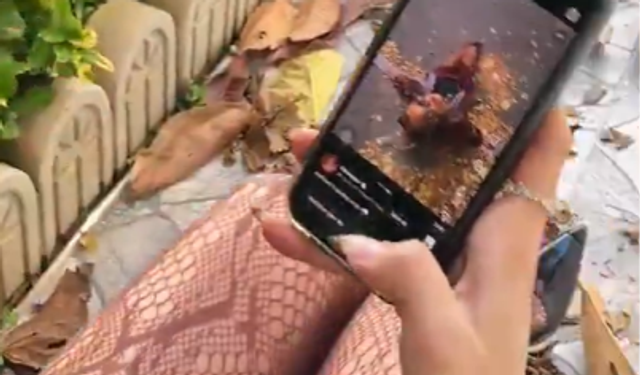Estetik fotoğraf için sokaktaki yaprakları kullandı!