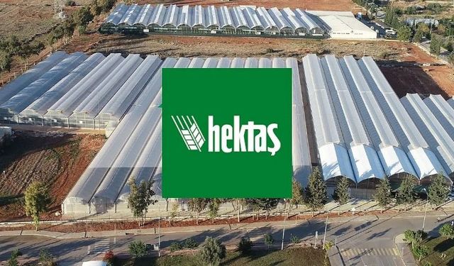 HEKTS hisselerinde değişiklik: BIST endeks hesabı yenileniyor