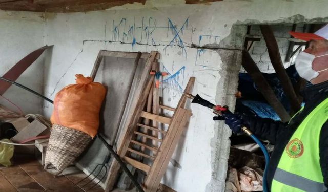 Samsun'da bir garip kokarca operasyonu!