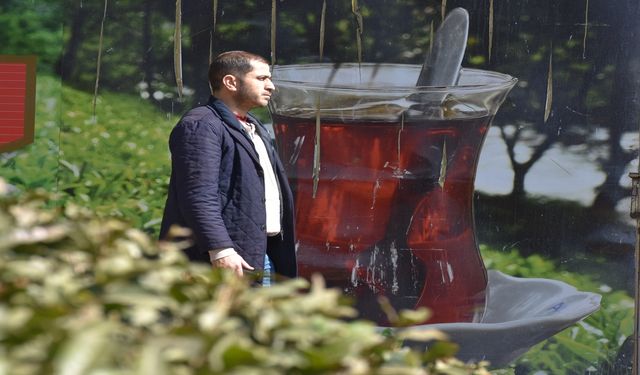 Enerji güneşten, çaylar Trabzon'dan