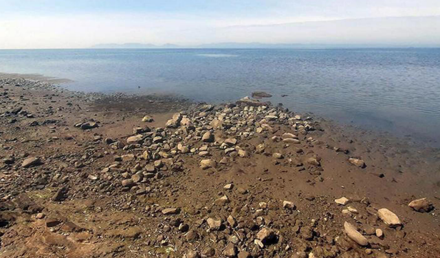 Ayvalık'ta çekilen deniz çevre sakinlerini korkuttu