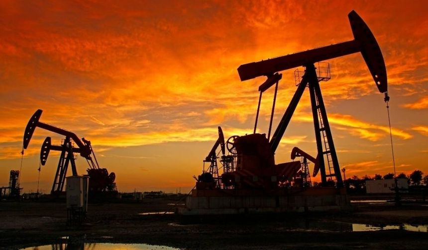 Resmi Gazete'de! TPAO 3 ilde daha petrol arayacak