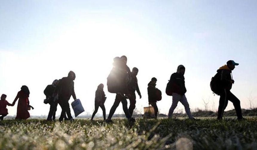 Hatay'da 65 kaçak göçmen yakalandı