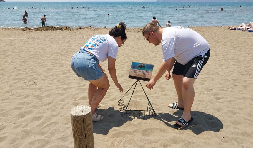 İztuzu Plajı’nda 300 Caretta Caretta Yuvası Tespit Edildi