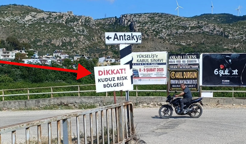 Hatay'da kuduz alarmı! Sokak köpekleri toplatılıyor, mahalleler karantinada