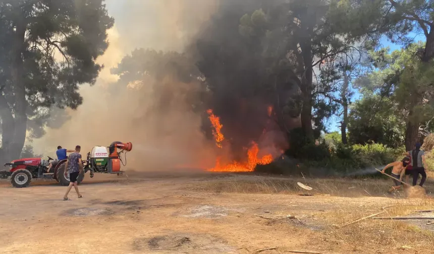Antalya'da ormanlık alanda çıkan yangına müdahale ediliyor