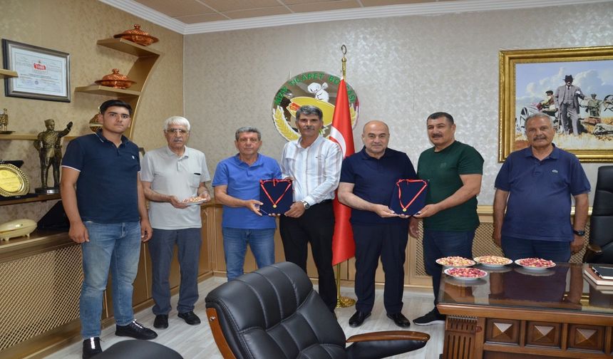 Sezonun ilk Antep fıstığı 'Altın' değerinde!