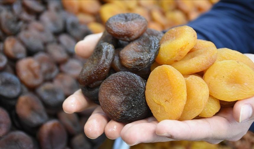 Malatya'dan dev ihracat