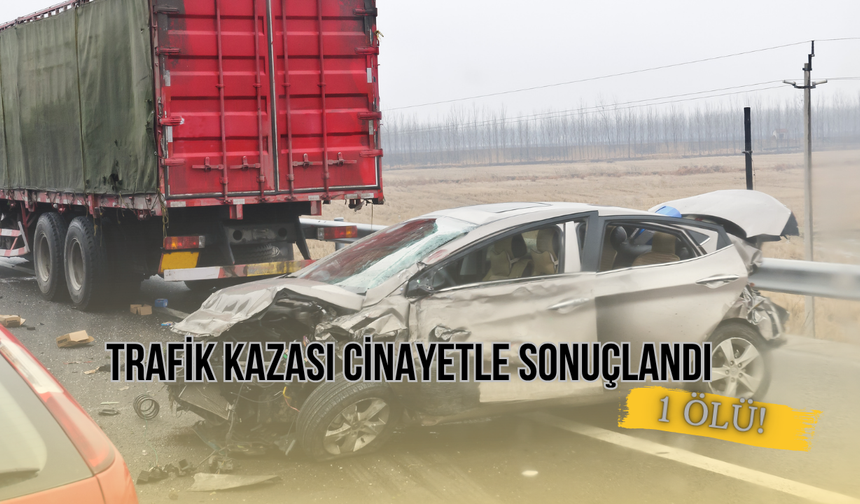 Trafik kazası cinayetle sonuçlandı: 1 Ölü!
