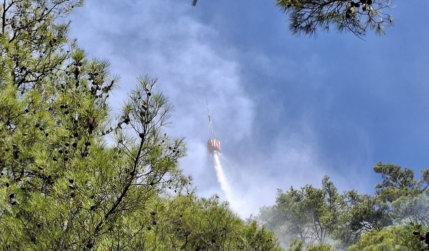 Mersin'de orman yangını kontrol altına alındı