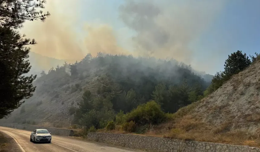 Karabük’te orman yangını: ekipler müdahale etmeye devam ediyor