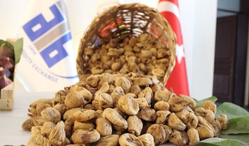 Aydın’da sezonun ilk kuru İnciri 400 liradan satıldı