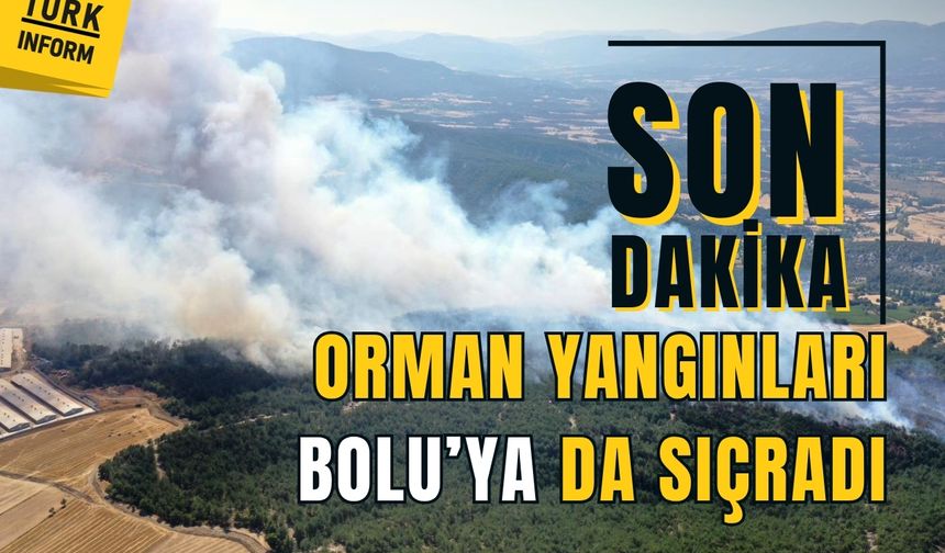 Bolu'da çıkan orman yangınına müdahale sürüyor