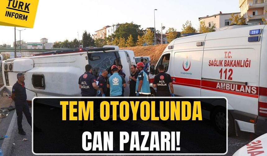 TEM Otoyolunda can pazarı!