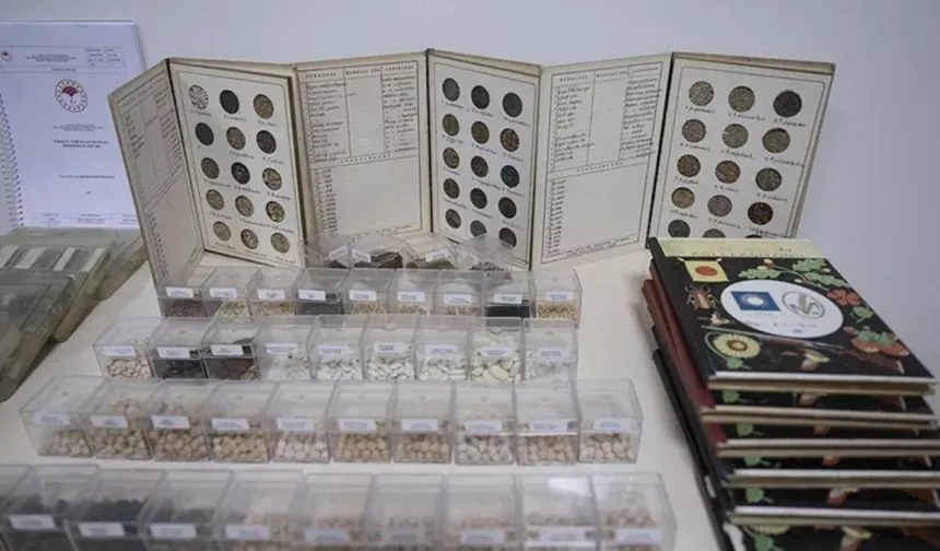122 bin 750  ata tohumu koruma altında