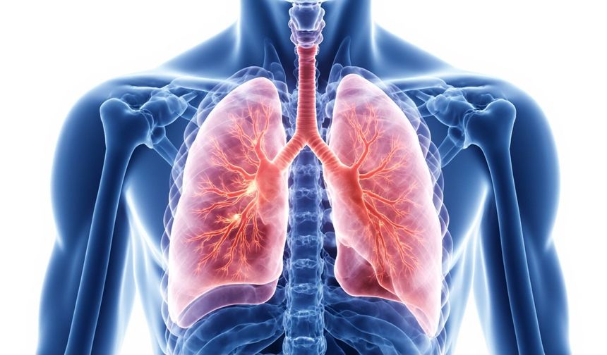 Emboli nedir? Akciğer embolisi nedir, belirtileri ve tedavisi nelerdir?