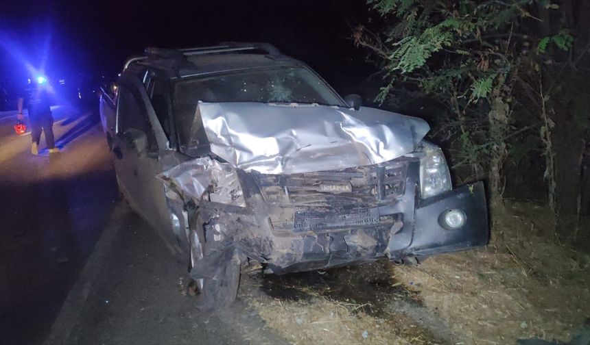 İzmir’de feci kaza: Yeni doğum yapmış anne hayatını kaybetti!