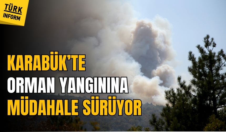 Karabük'te Orman Yangınına müdahale sürüyor