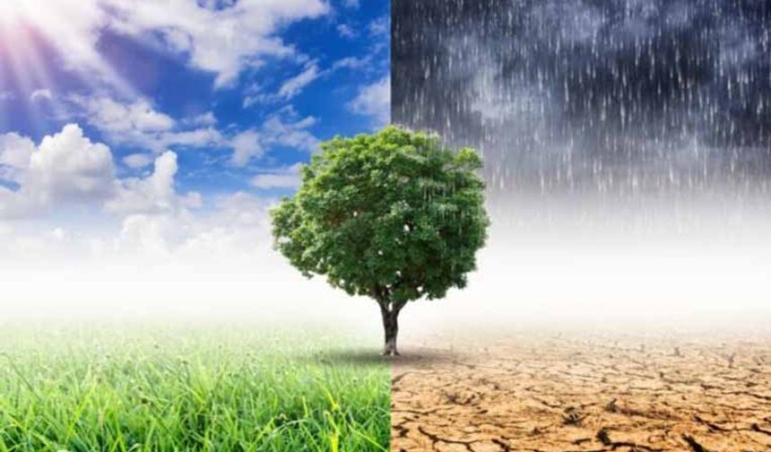 Klimatoloji nedir? Çalışma alanları nelerdir
