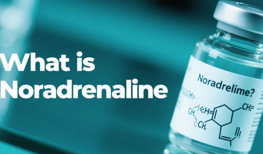 Noradrenalin nedir? Ne işe yarar, nasıl aktif edilir ve adrenalinle farkı