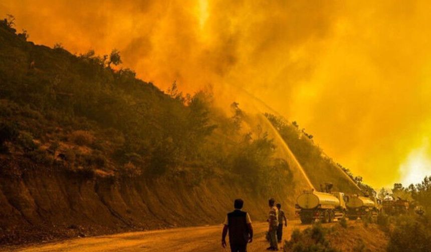 Muğla’da orman yangını uyarısı! İzmarit atan yandı: Adli işlem başlatılacak!