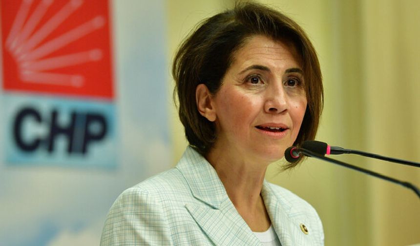 CHP Ankara Milletvekili Aylin Yaman'dan harç uygulaması eleştirisi