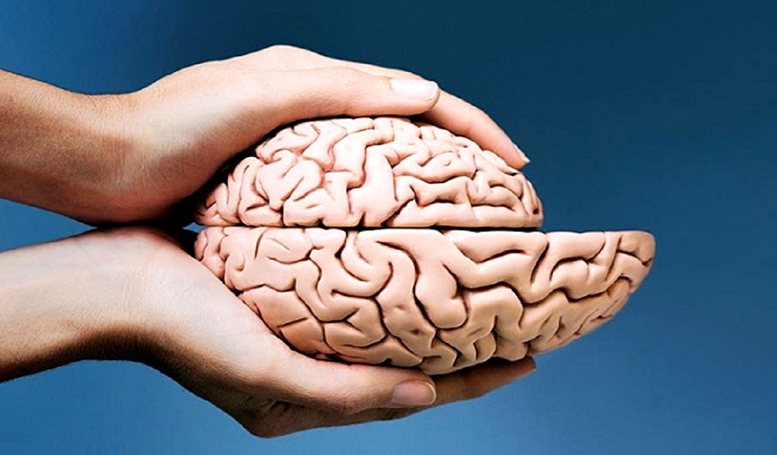 Beyin küçülmesi nedir, kaç yaşında başlar, nasıl önlenir?