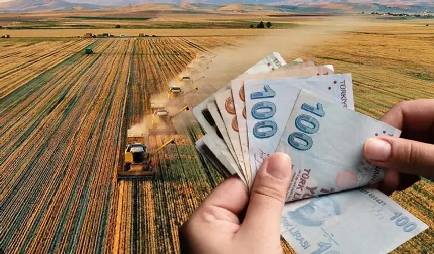 Ankara çiftçisinin ikinci ürün formülü ortaya çıktı! 300 kilo hedef var