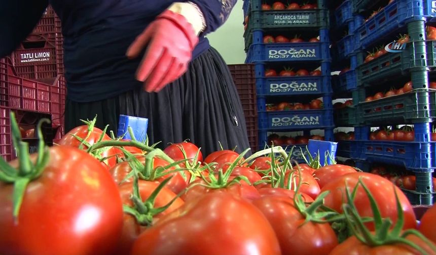 Kabzımal nedir, kime denir? Ne iş yapar, nasıl olunur?