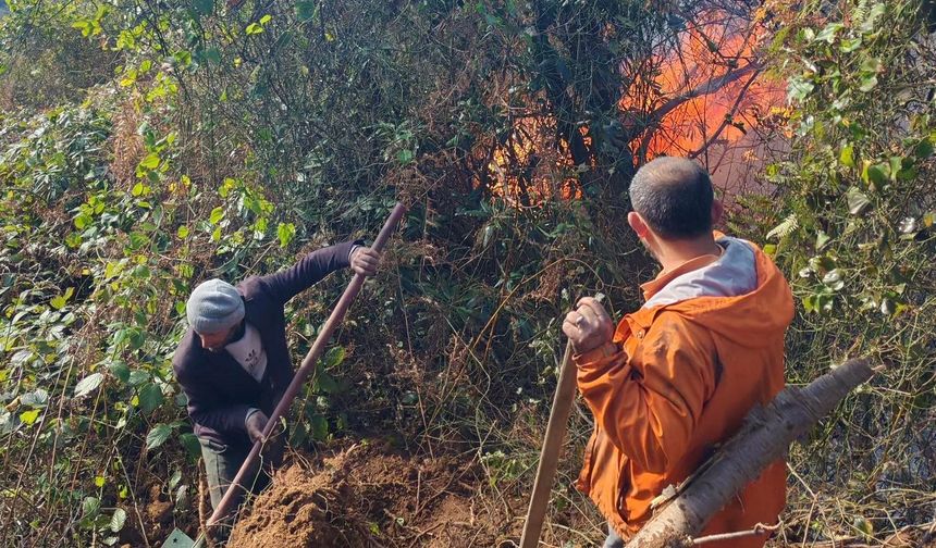 Hopa'da alevlerle mücadele devam ediyor