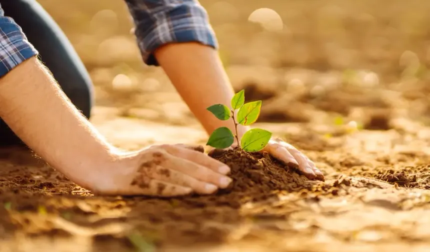 Atatürk'ü Anma Günü ile Milli Ağaçlandırma Günü'nde okullarda fidan dikilecek