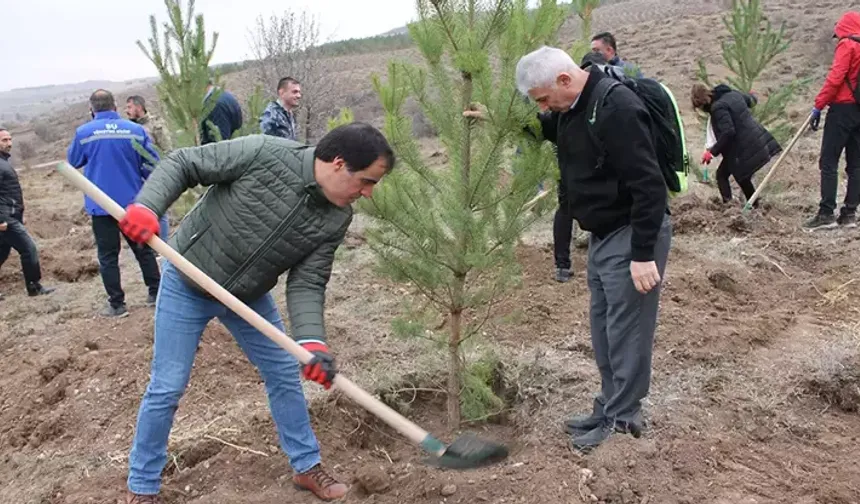 11 Kasım Milli Ağaçlandırma Günü’nde 3,2 milyon fidan toprakla buluşuyor