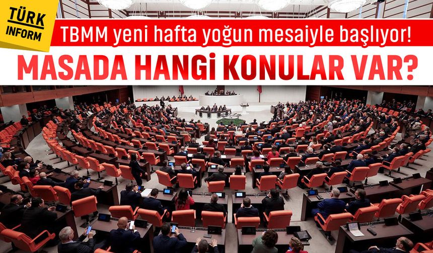 TBMM'de kritik hafta! Bu hafta neler görüşülecek?