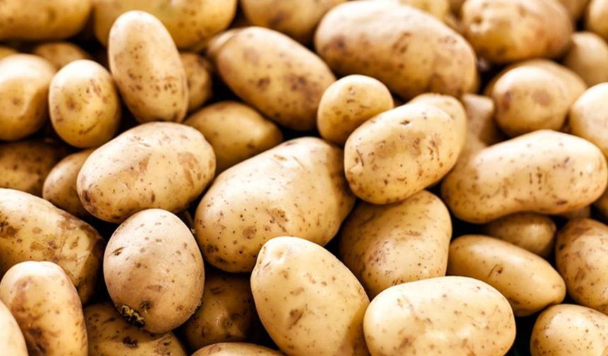 Ticaret Bakanlığı'ndan 'patates fiyatı' yalanlaması: 25 lira değil, 12,75 lira