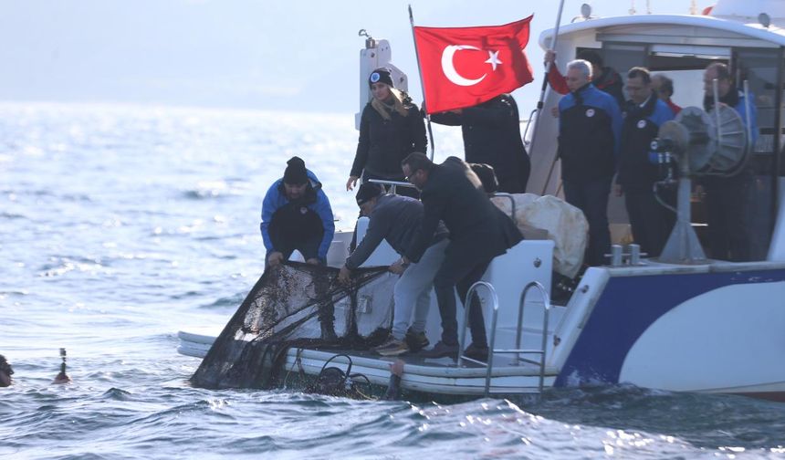 11 yılda denizlerden milyonlarca metrekare hayalet ağ temizlendi