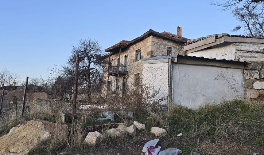 Bağlı köpek çocuklara saldırdı!