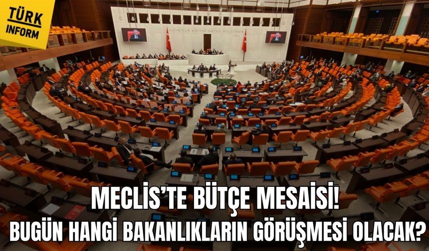 Meclis’te bütçe mesaisi! Bugün hangi bakanlıkların görüşmesi olacak?